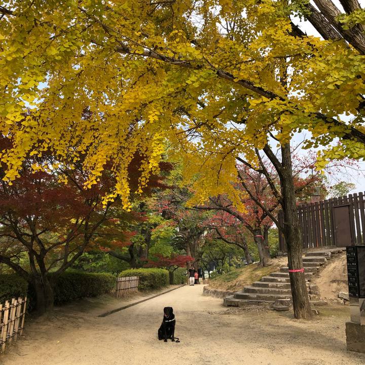 043e5cf5 13cc 47e0 b329 f84891d3f1a9 1700703525594