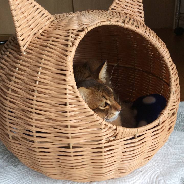 043e8c6e b748 4116 85b0 76a5fea17fb0 1579661785371