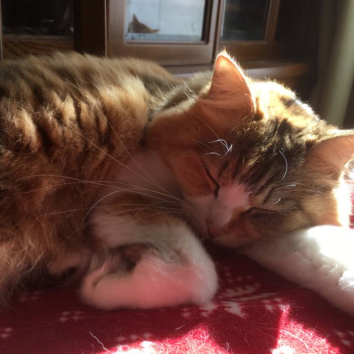 043eac05 d6df 437b 900c 951956fd424d 1553514886509