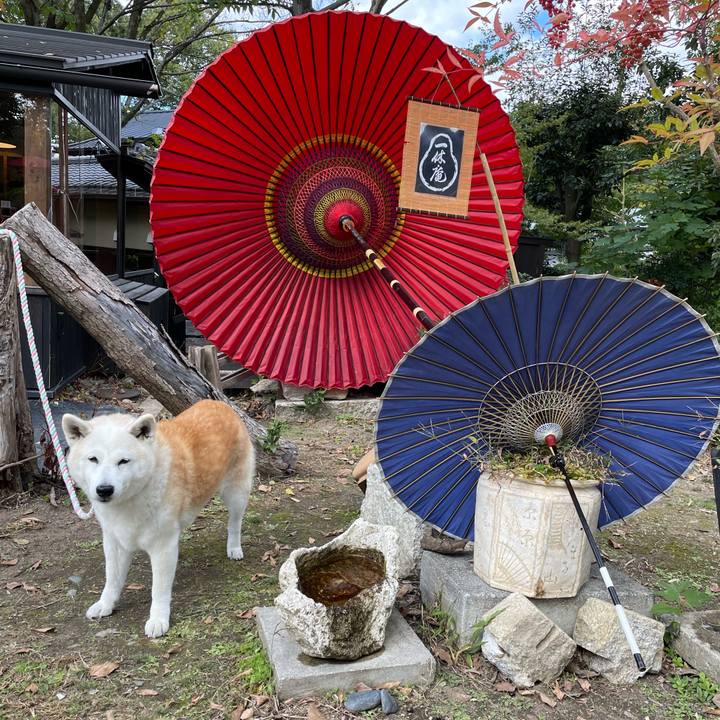 043eac60 b5fe 44f7 8551 538b13e07a24 1667425195103