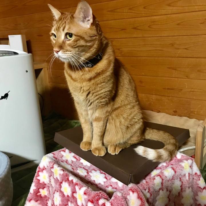 043edbe7 0fc3 4836 8580 9807f63fbb91 1512377743481