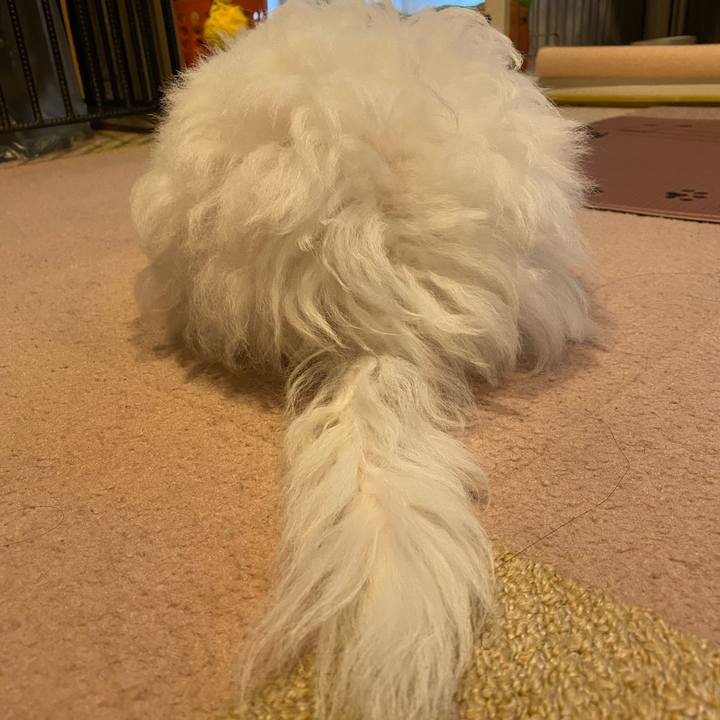 043efa6d 264c 4342 b97a 2831aaa9ea99 1747386623881