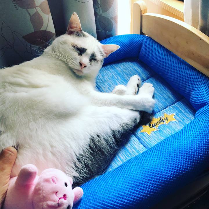 043f07f8 7329 4fd7 a763 342da46f8297 1551303130610