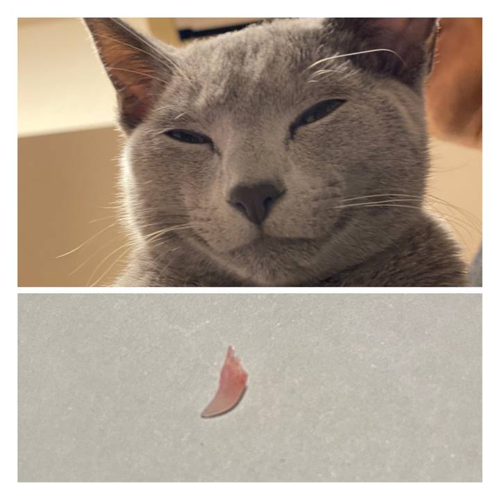 043f329a c0d3 4017 adaa 861482183d76 1611459408796