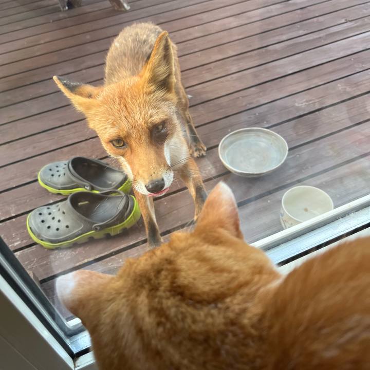 043f4d06 7b6f 49a8 9185 ec9e98ffc35e 1751834715113