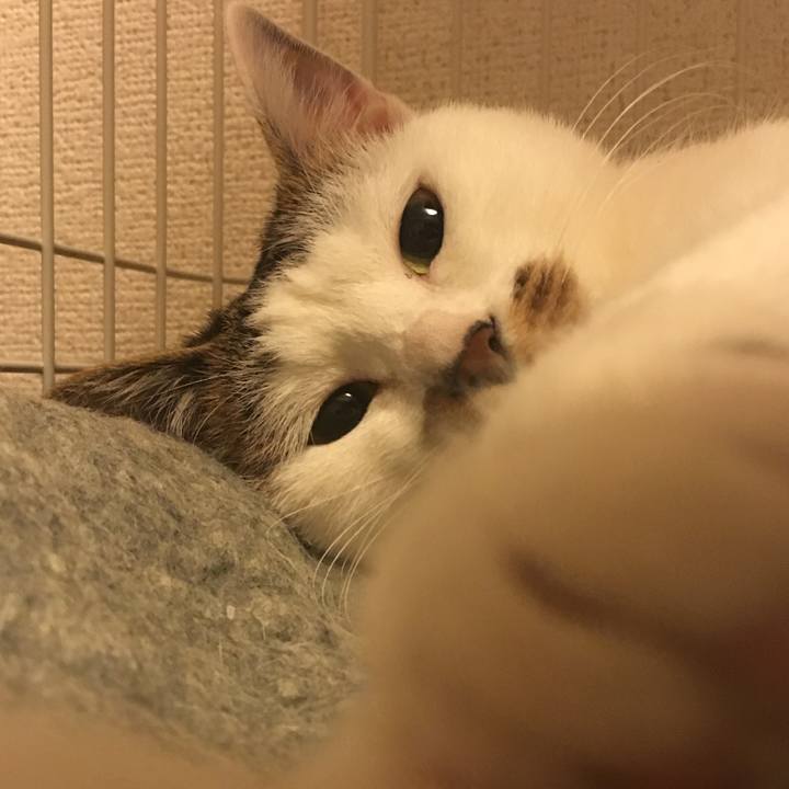 043f69ee 3c9f 4b17 908d 14ac3208e17c 1514891336093