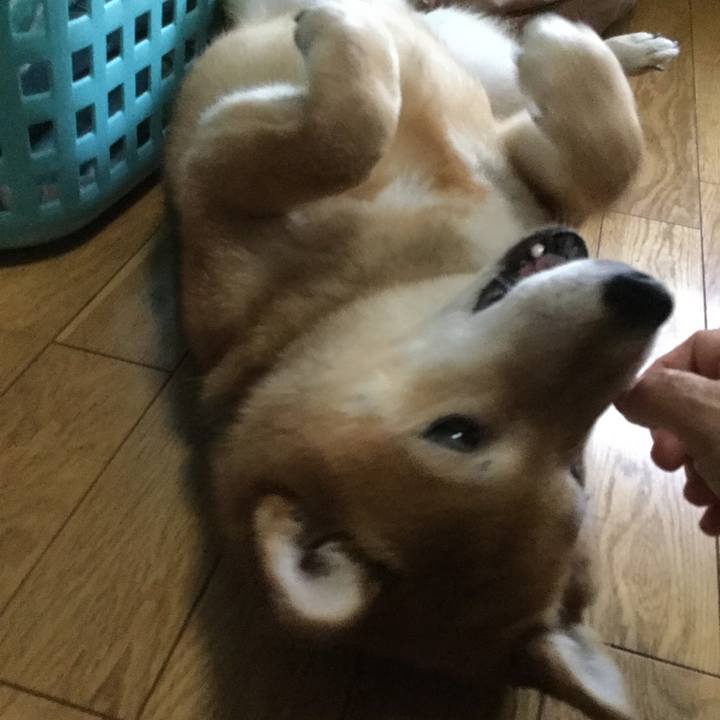 043fbb3f 3085 47ba b9be 73a5a4c0571a 1564651224860