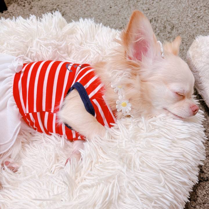 043fc09c a584 488e 99ab 544b57ba97f4 1659937709067