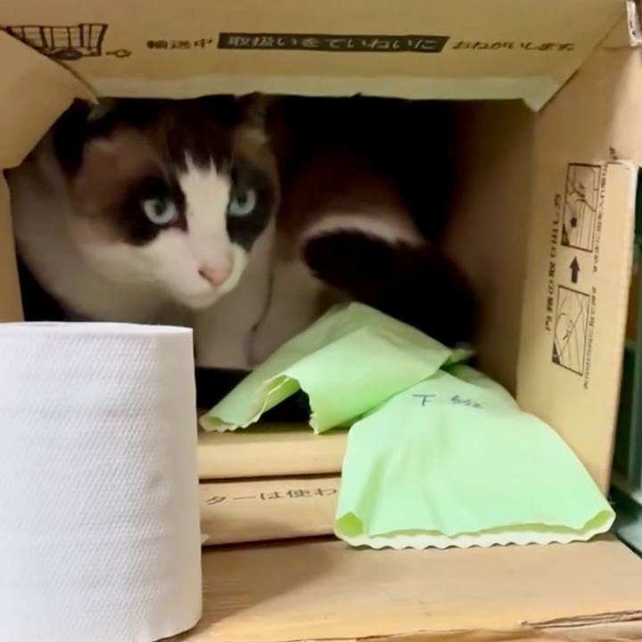 043fd6be 1218 4d3f 903a 34d4f74cfff8 1774840954775