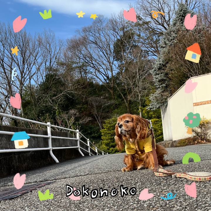 043ffe72 ebb2 417b aafa 5e898cbb7f4e 1741392366397