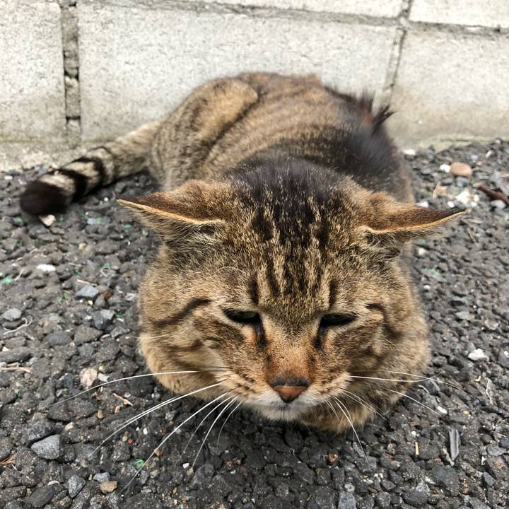 04404843 b8c6 4198 978c ffb215e7bcc3 1523739700093