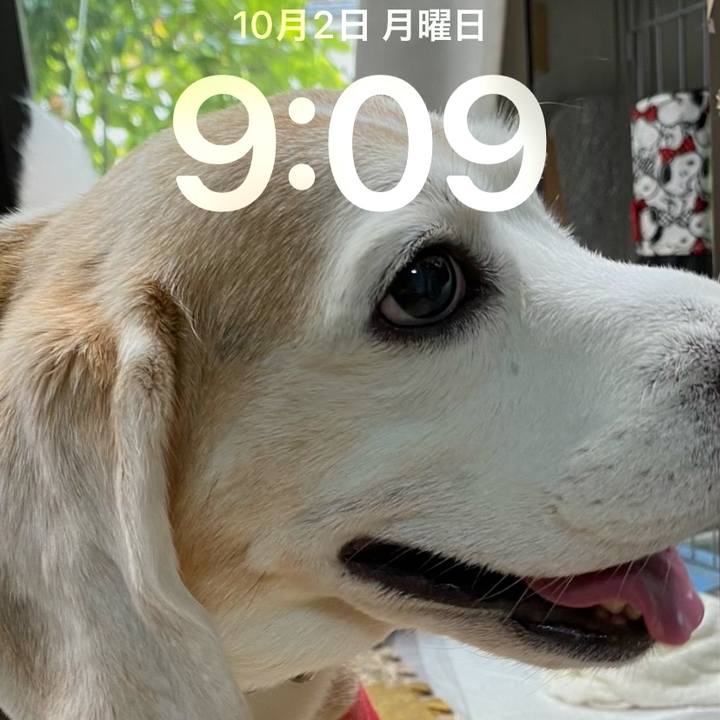 04408060 9733 4335 bdff 10938a7d2a2d 1696205536906