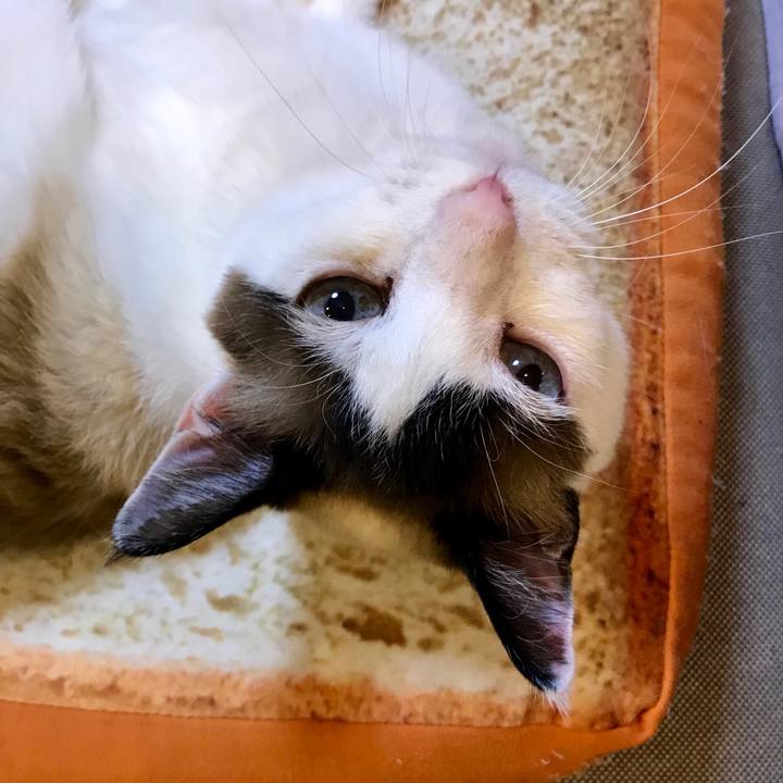 0440a301 d5e2 4e0f 9680 17c89c2e2aca 1556436441372