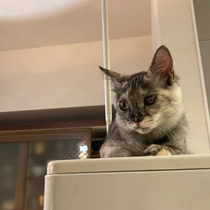 0440b662 3406 4227 9797 f6fef126ab0b 1697112004713