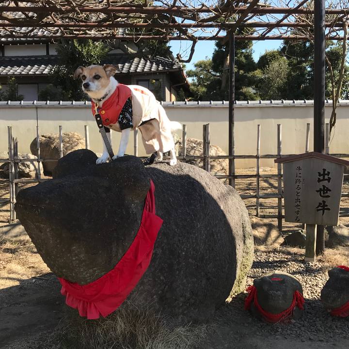 0440bd82 a1ce 4b1b 98a2 881f524006b5 1581312144604