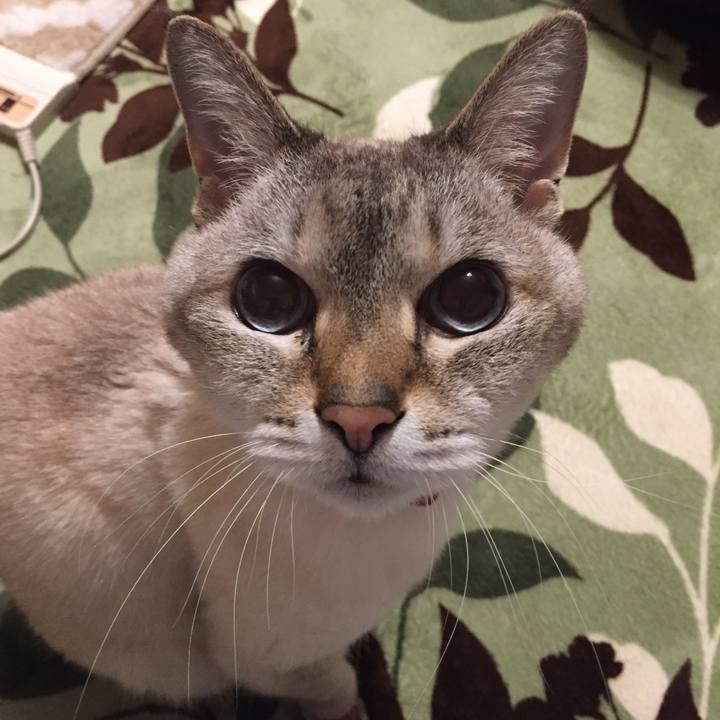 0440ce65 126a 40ed ba11 d6fa205548ad 1588079745087