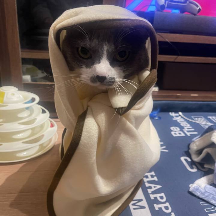 0440ed04 3268 4f60 ae92 23b4dfb2d5ea 1706088610803