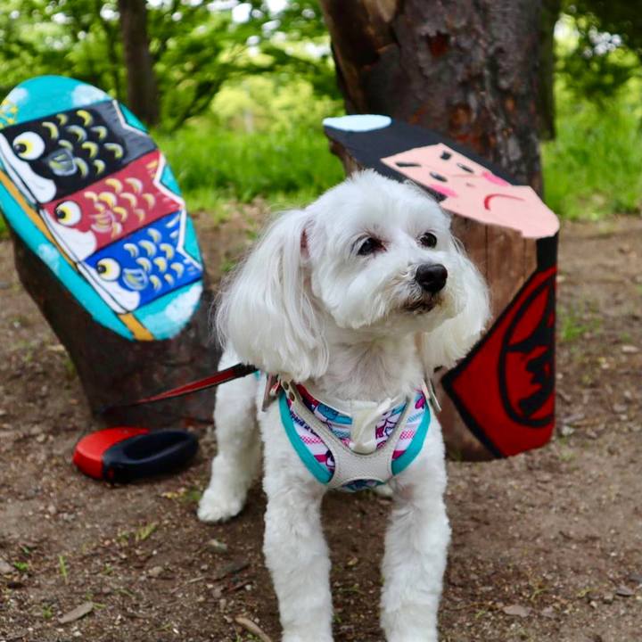 0440f8eb 8177 41ef b109 4c4004212be6 1619592155924