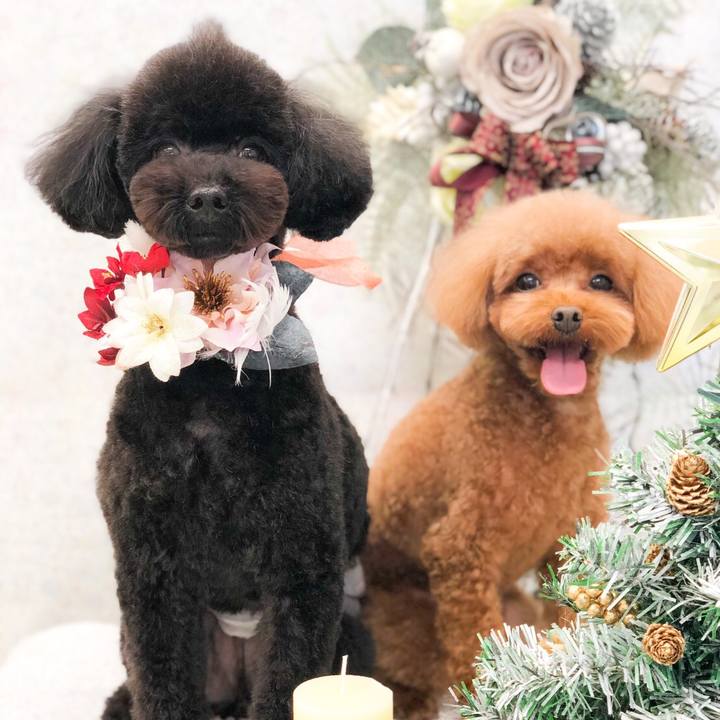 04410da9 6e16 4165 9904 adc4fc25aa33 1609138692831