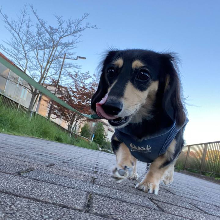 044122ae ae00 48b9 981e 184972c866c3 1699918813820