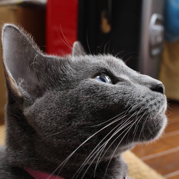 0441289f 7ca4 4e75 98f6 d416b8d93b3f 1555892544958