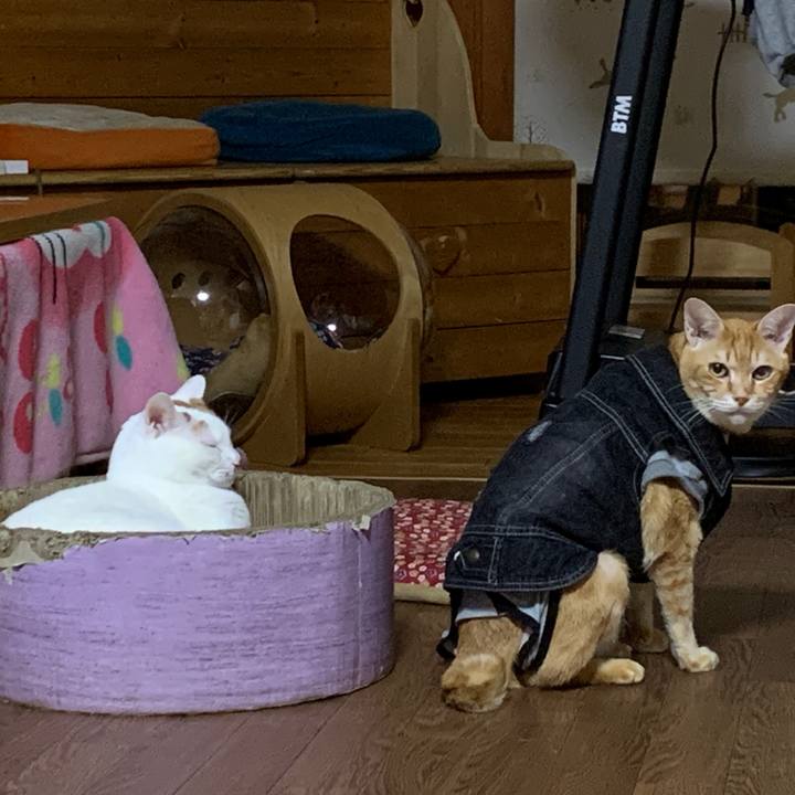 04418b84 4c83 4a8f a8bc 23b411d614c4 1646913397138