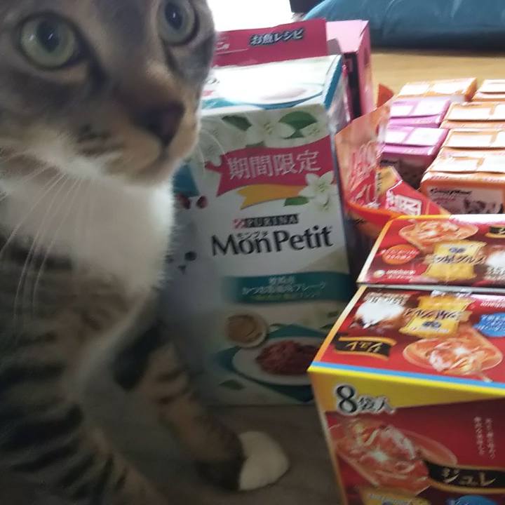 0441f5cc 144e 4865 baf2 c637f10d68b0 1612797044803