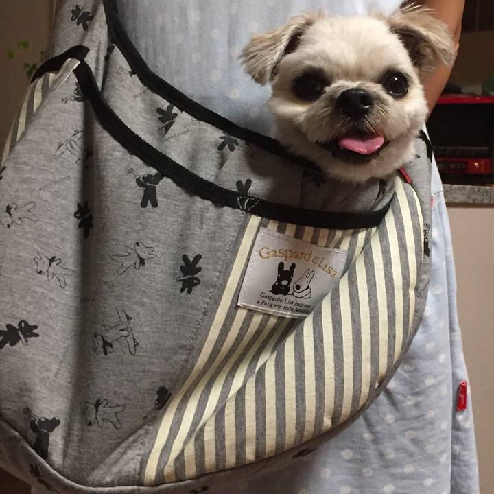 04420a27 dec6 485a b1ad 53b208c3bf59 1564832288843