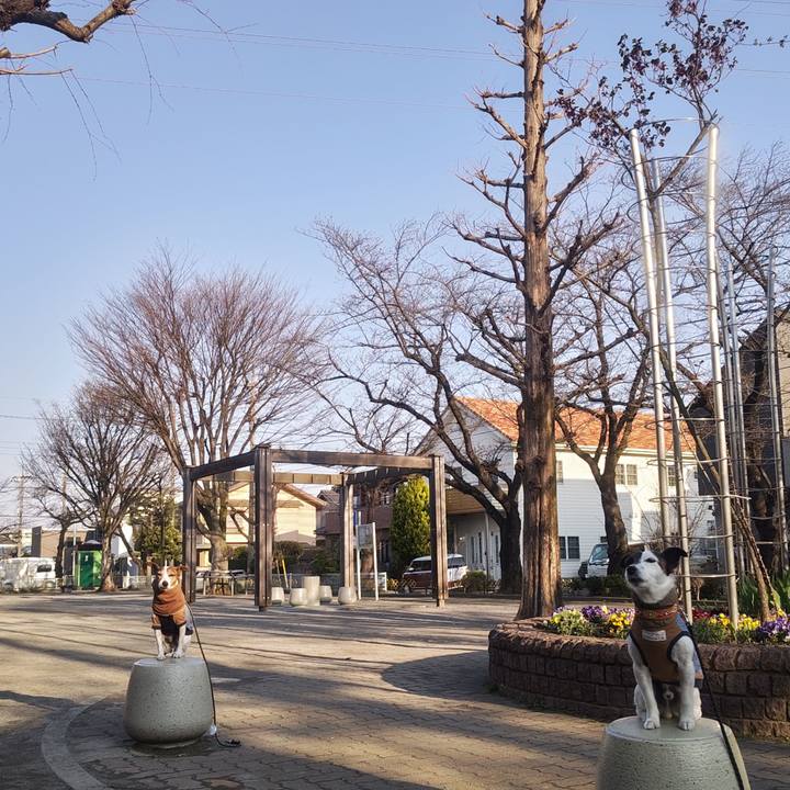 0442b08b a687 4197 a04d 073150e3ad4c 1774047217200