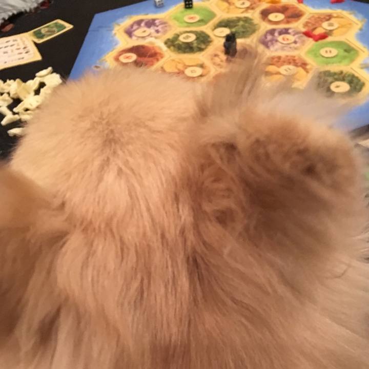 0442c6ed fd86 4f06 ba60 2badbd6c2092 1509970331392