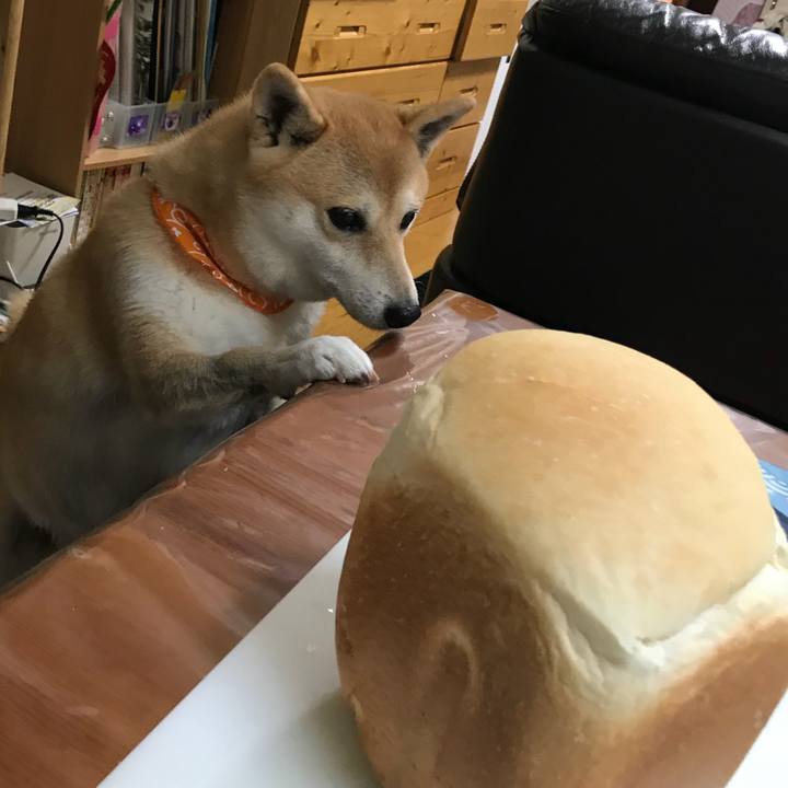 0442d606 5d75 47d4 9530 7f70076b1884 1510195253000