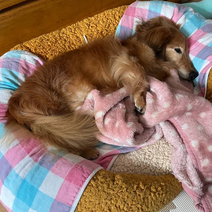 04433465 57b0 4eab a8ed 7b8eb45ae3e2 1683725067639