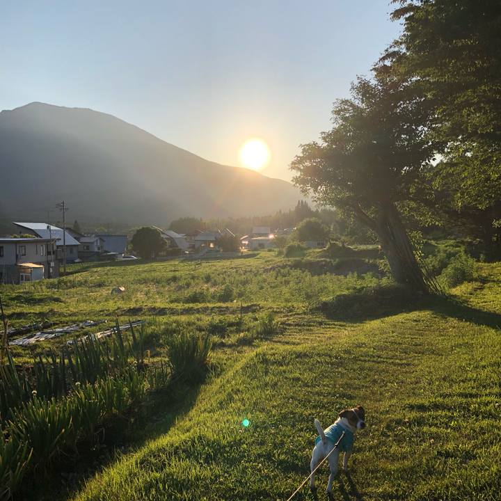 04435ffa df46 40be a541 5da8c139b407 1560420524108