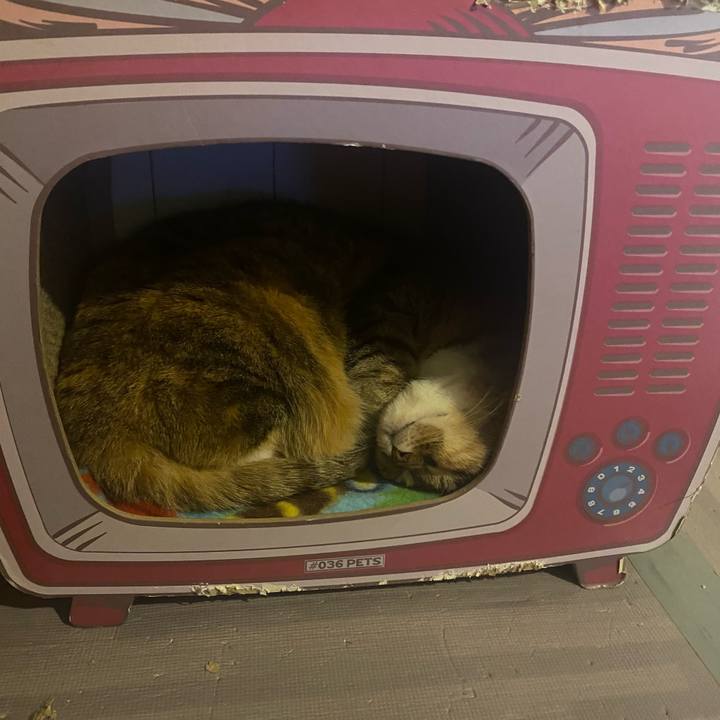 0443601a b4d0 42d9 a3cf 8a636ee16196 1672147953008