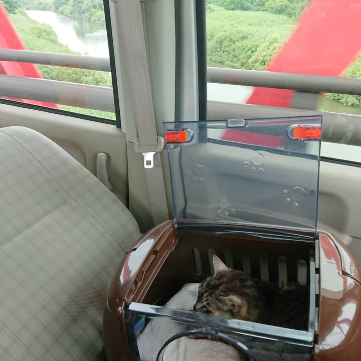 04437c97 69b5 4f68 ab00 64a290750f13 1595727854832