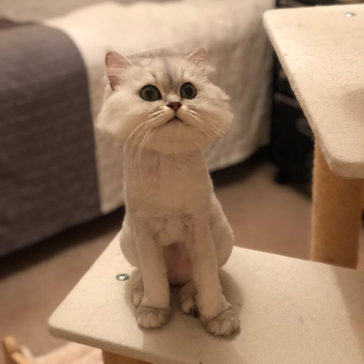 0443a7a1 20be 4ee7 b0db f679eaa0418a 1524137196728