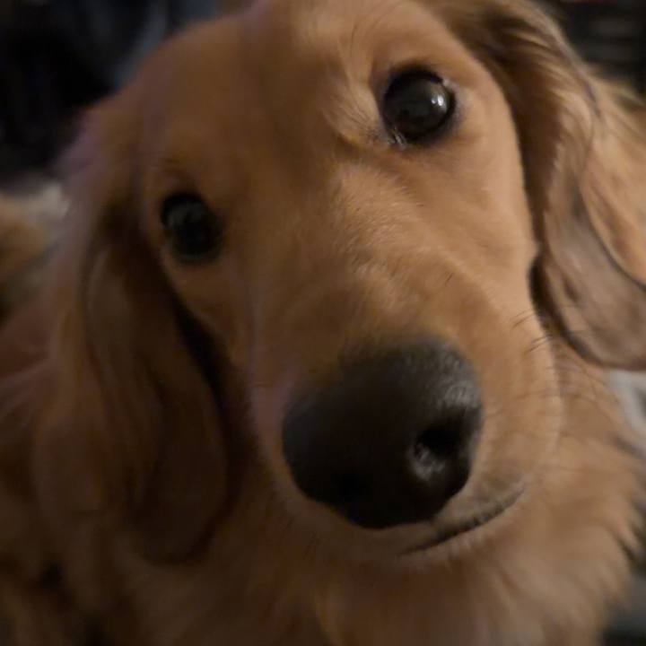 0443c37b bdc7 4f42 8cd7 3c823709a41f 1772161651900