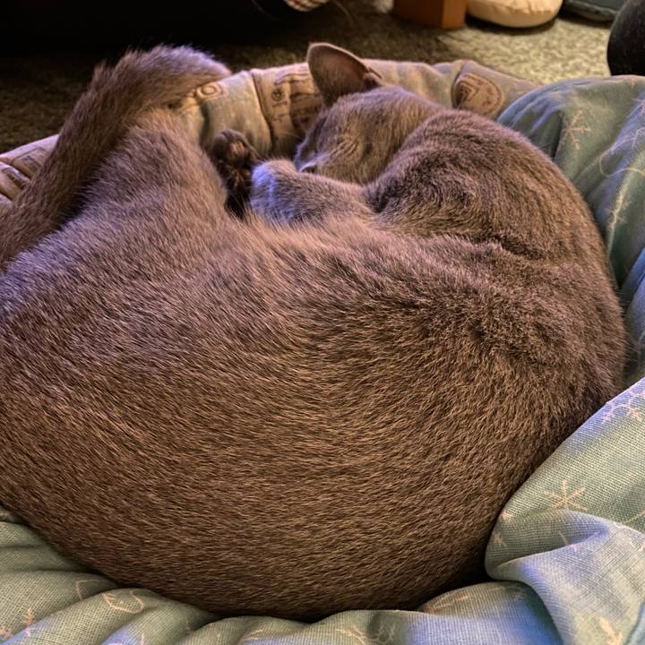 044418d9 b724 49bc a831 5ad0ff2f5576 1627042128992