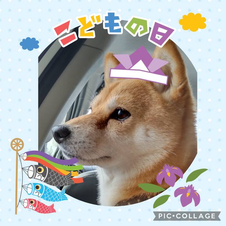 0444393a 94b8 418d 844b 988e11d20d85 1746406866157