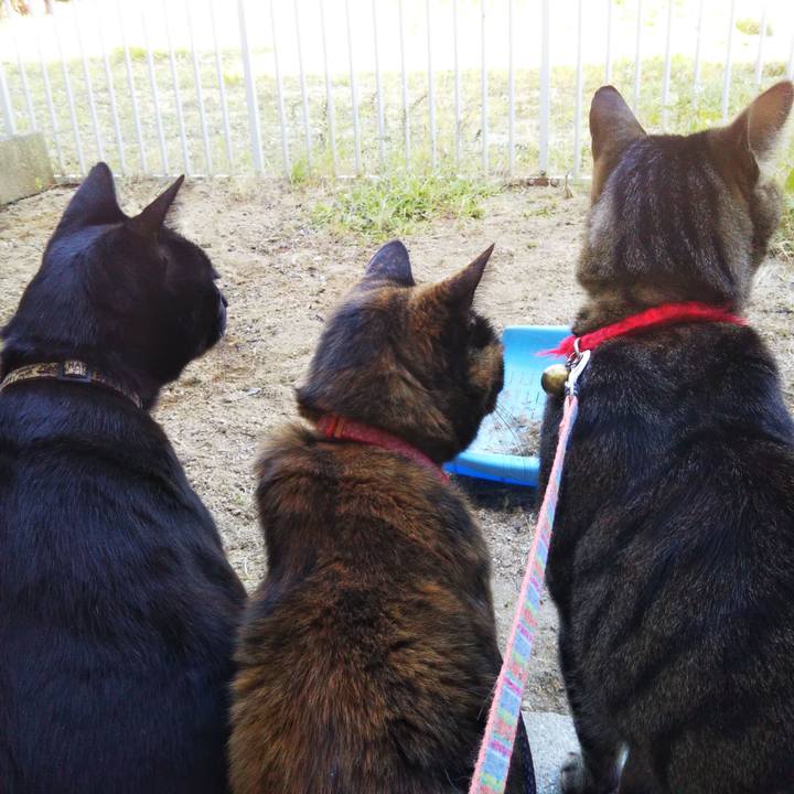 04444ff0 1436 4a70 aaf7 92246604509a 1588417608083