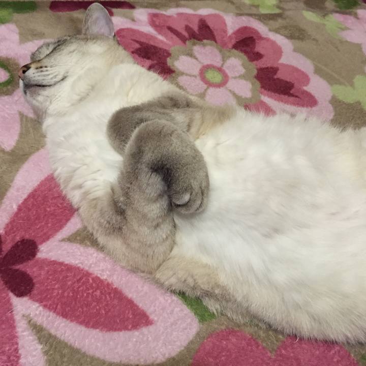 04446815 7b1b 42e8 b709 fec535a48a1c 1549199277789