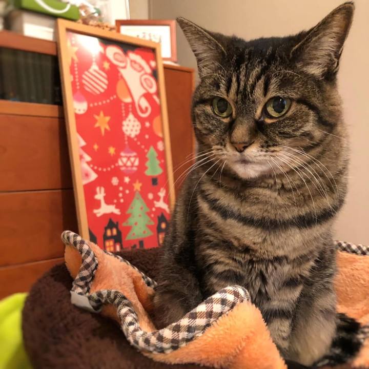 0444787b 8d3d 45fb 9f16 27b24c2084b6 1765679085219