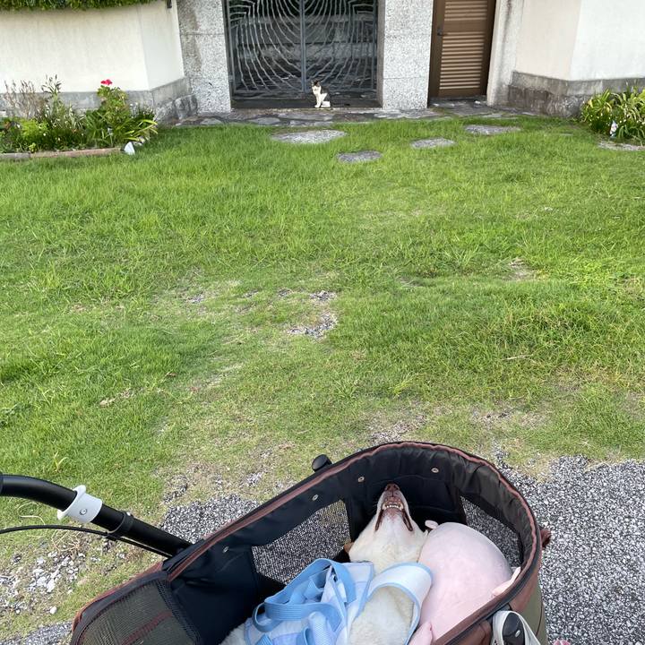 04448625 a733 4e5c 827b dd6f2086e9b9 1664710791391