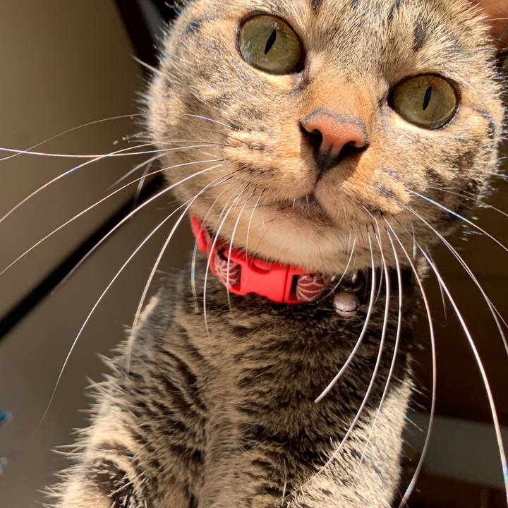 044488ed abe8 4964 99dd b8fda44cf353 1571101429327