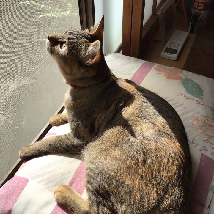 0444b46e aca5 4fcd 89b4 182e43e7fe37 1585095915572