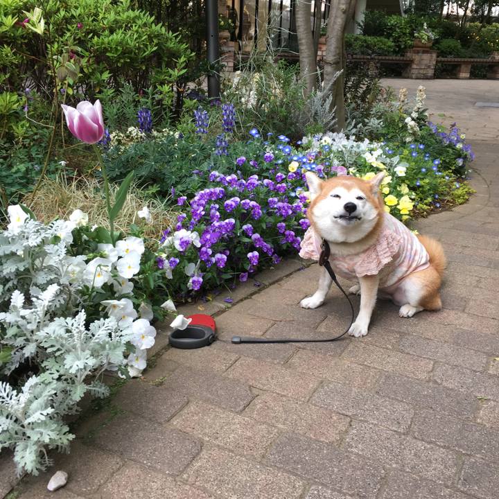 0444c0af 1d60 4793 b2c2 16cd457f8ba3 1523599737171