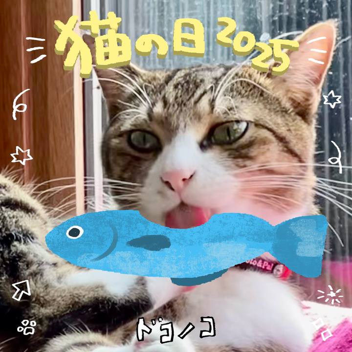 0444c854 ce0a 4b4f 84d9 810a24adf2a5 1740138416282