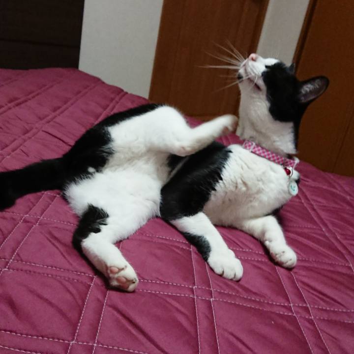 0444de60 ce9d 4c7c 856b fa7abf985eba 1605922456658