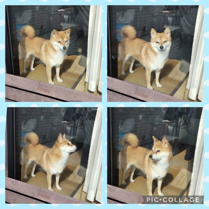 044514f9 677b 4b3f 9fb9 8e8f1c245fe9 1738985781851