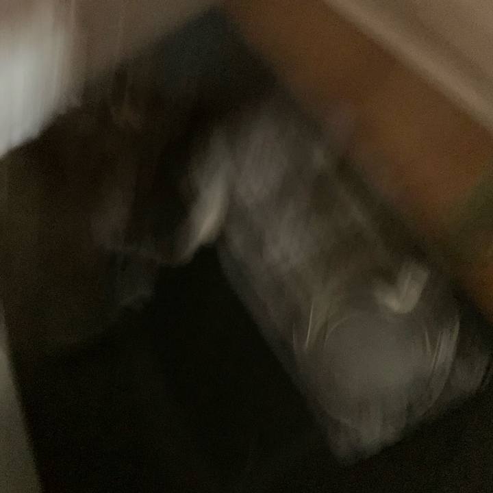 044559a2 1349 4d3f b0ed d1b25195bc7e 1624066808761